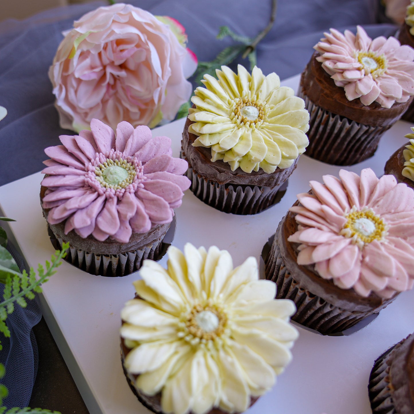 Gerbera Cupcakes