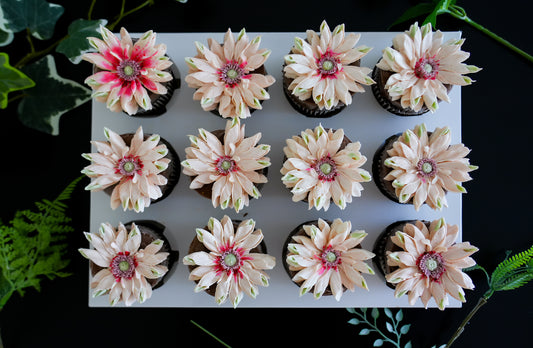 Pasta Gerbera Cupcakes