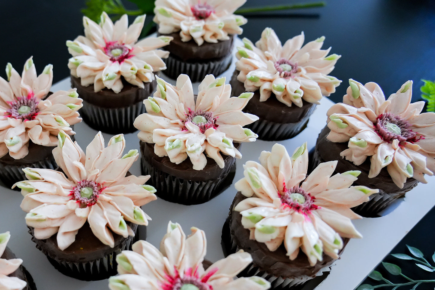 Pasta Gerbera Cupcakes